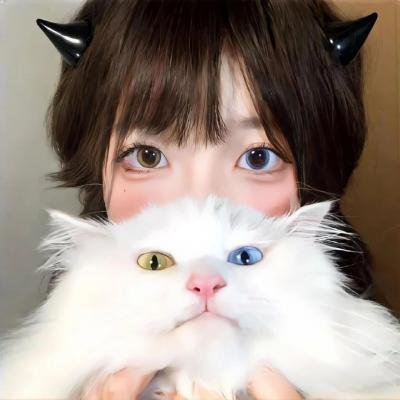 金牌调解